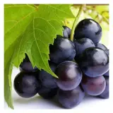 Siyah Üzüm 1 kg