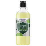 SodaStream Drink Mix Ginger Ale ohne Zucker 440ml