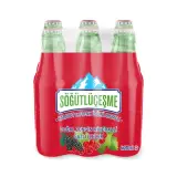 Söğütlüçeşme Karadut Ve Frenk Üzümü 6x200 ml