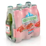 Söğütlüçeşme Karpuz & Çilek 6x200 ml