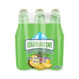 Söğütlüçeşme Mango Ve Ananas Aromalı 6x200 ml