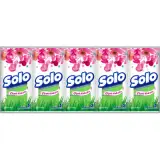 Solo 3 Katlı Kağıt Mendil 10 Adet
