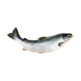 Somon Bütün 1 kg