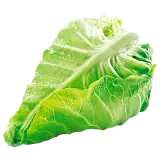 Spitzkohl ca. 1kg