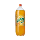 Sunny Gazlı İçecek Portakal 2,5 L