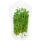 Thymian 15g