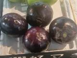 Patlıcan Bostan Topak 1 kg