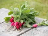 Turp Kırmızı 1 kg