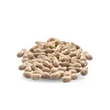 Tuzlu Kabuklu Fıstık 1 kg