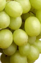 Üzüm Beyaz 1 kg