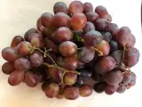 Üzüm Kırmızı 1 kg