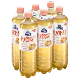 Vilsa H2 Obst Schwarzer Tee Pfirsich Passionsfrucht 6x0,75l