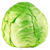 Weißkohl ca. 1,8kg