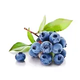 Yerli Yaban Mersini 125 g