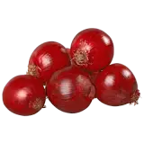 Zwiebel rot 500g im Netz