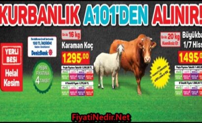 A101 Kurbanlık Fiyatları