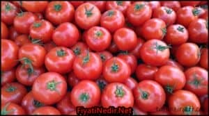 Aydın Hal Fiyatları