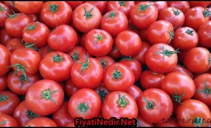 Aydın Hal Fiyatları