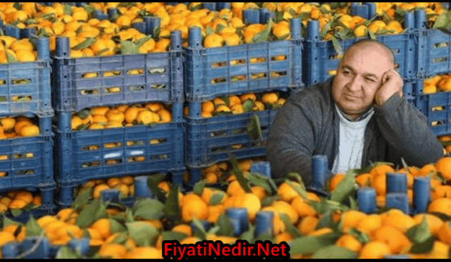 Mersin Hal Fiyatları