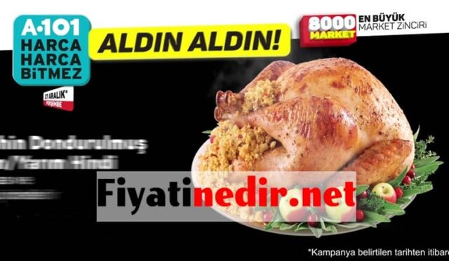 A101 Hindi Fiyatları