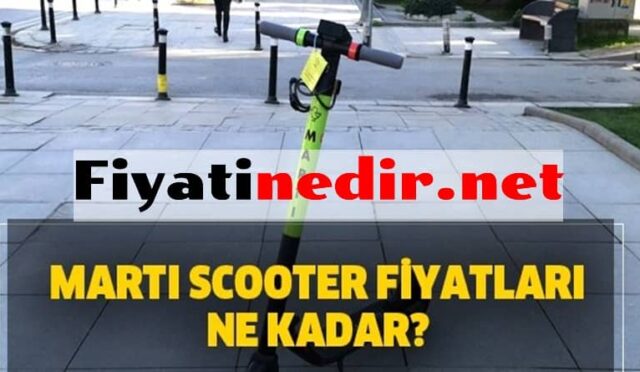 Martı Kiralama Fiyatları