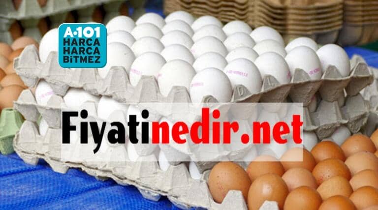 A101 Yumurta Fiyatları Fiyatı Nedir ? Güncel ve Detaylı Fiyat Listesi