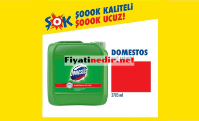 Şok Domestos Fiyatları