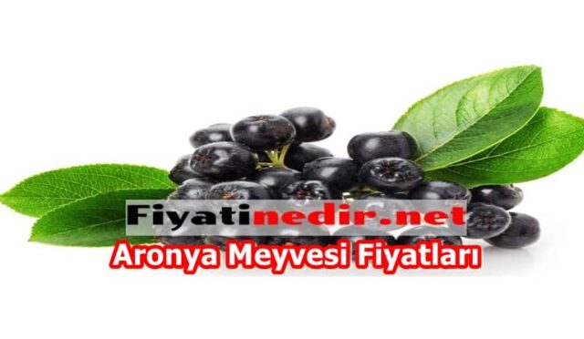 Aronya Meyvesi Fiyatları