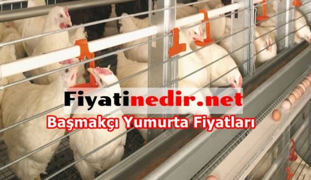 Başmakçı Yumurta Fiyatları