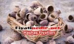 Haşhaş Fiyatları