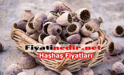 Haşhaş Fiyatları