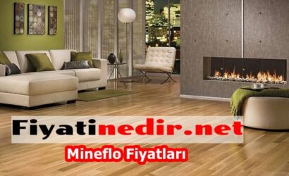 Mineflo Fiyatları