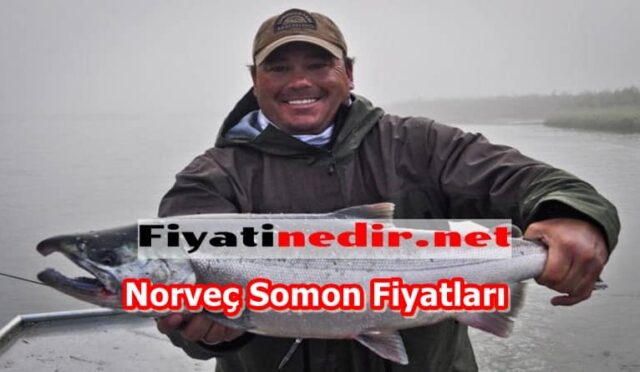 Norveç Somon Fiyatları