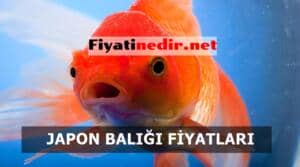 Japon Balığı Fiyatları