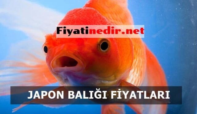 Japon Balığı Fiyatları