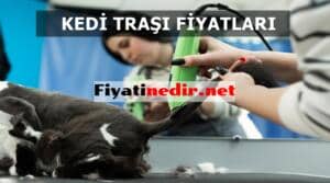 Kedi Traşı Fiyatları 2021