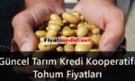 Tarım Kredi Kooperatifi Tohum Fiyatları