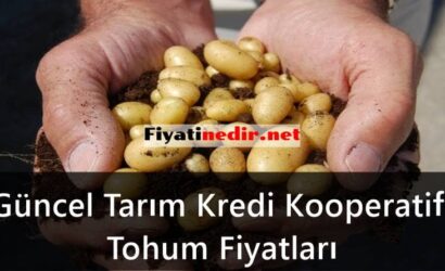 Tarım Kredi Kooperatifi Tohum Fiyatları