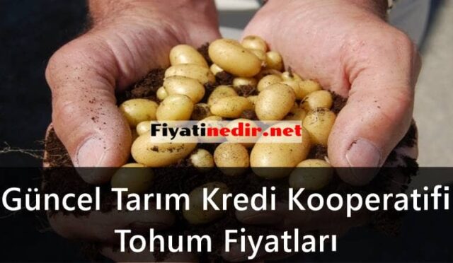 Tarım Kredi Kooperatifi Tohum Fiyatları