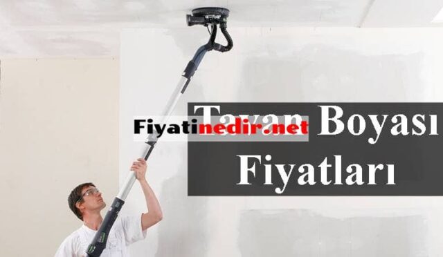 Tavan Boyası Fiyatları