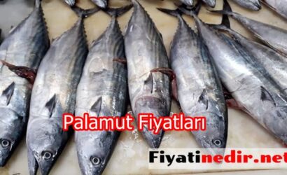 Palamut Fiyatları