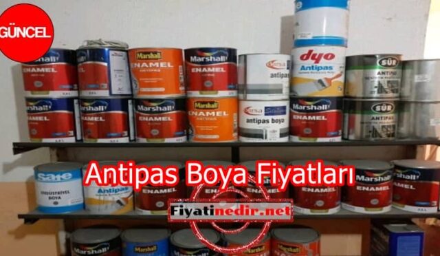 Antipas Boya Fiyatları