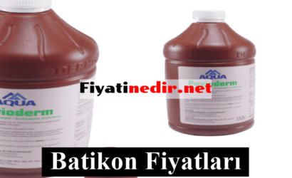 Batikon Fiyatları
