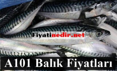a101 balık fiyatları
