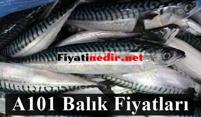 A101 Balık Fiyatları