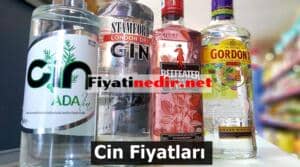 cin fiyatları