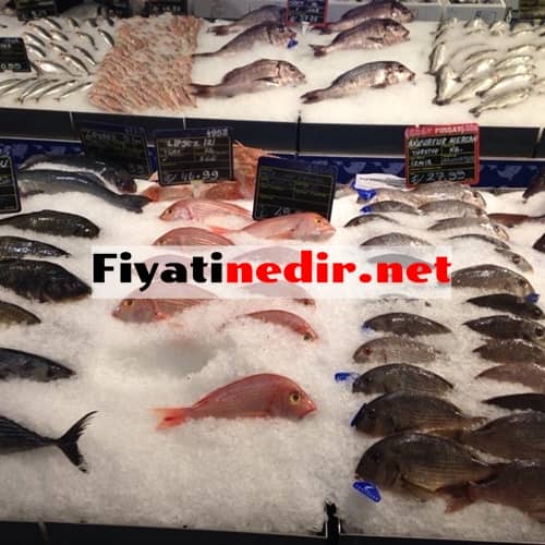 metro market balık fiyat listesi