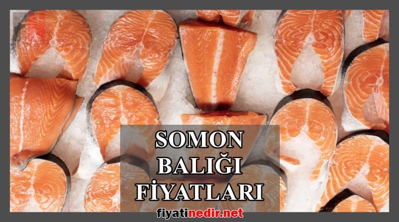 Somon Balığı Fiyatları