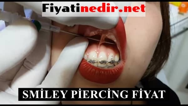 smiley piercing fiyat