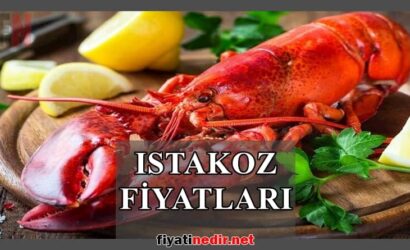 Istakoz Fiyatları